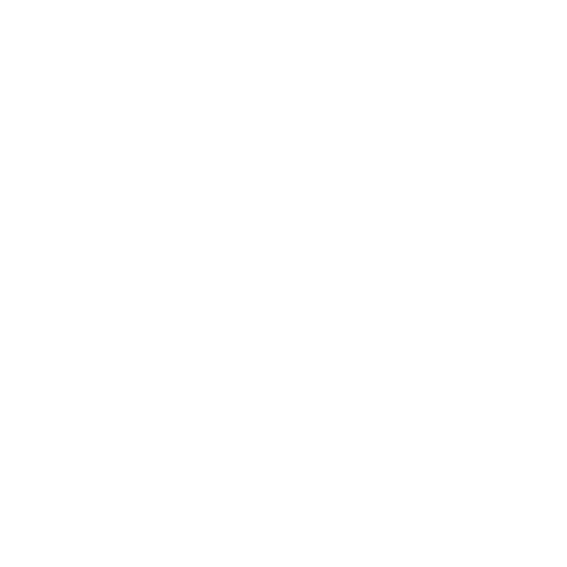 Starr Cybersecurity Logo